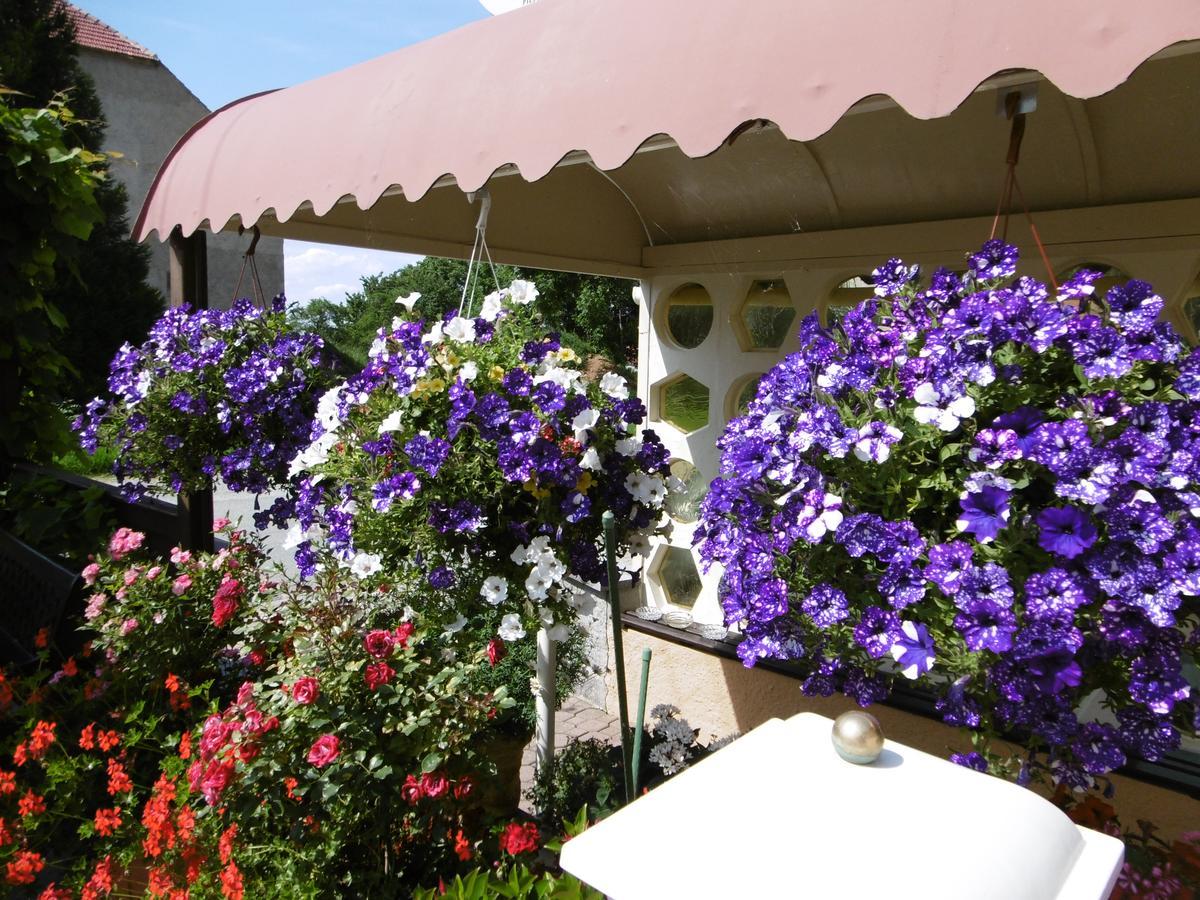 Hotel & Pension Assmann Hochkirch Extérieur photo